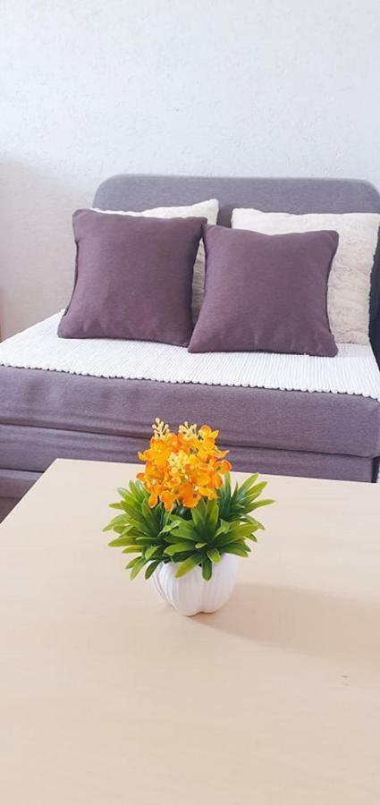 Apartments Four Countesses Virpazar Zewnętrze zdjęcie